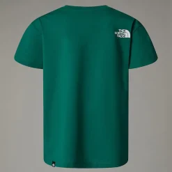 Camiseta Simple Dome Para Niños
