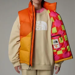 Chaleco Acolchado De Plumón TNF X Yinka Ilori Unisex