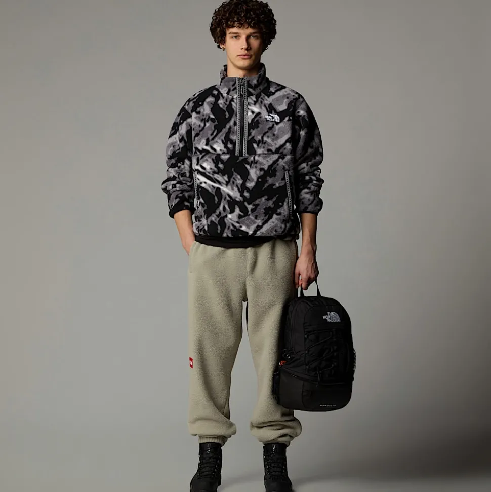 Forro Polar Con Cremallera De 1/4 TNF Fleeski Para Hombre