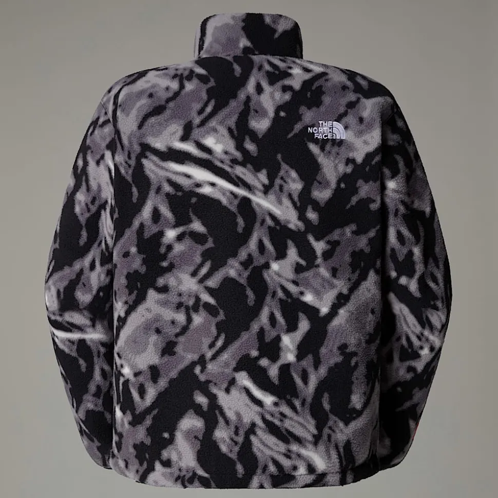 Forro Polar Con Cremallera De 1/4 TNF Fleeski Para Hombre