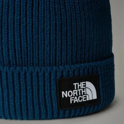Gorro Con Pompón Y Logotipo De TNF